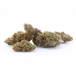 Pink Panther CBD