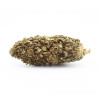 Sour Pineapple Kush