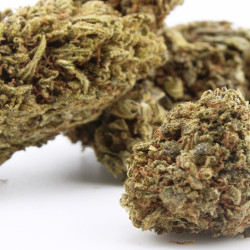 Sour Pineapple Kush