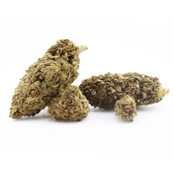 Sour Pineapple Kush