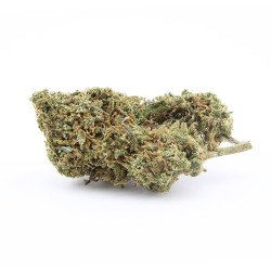 CBD BZ1