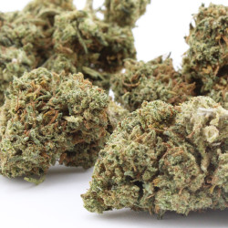 CBD BZ1