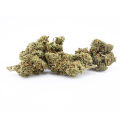 CBD BZ1