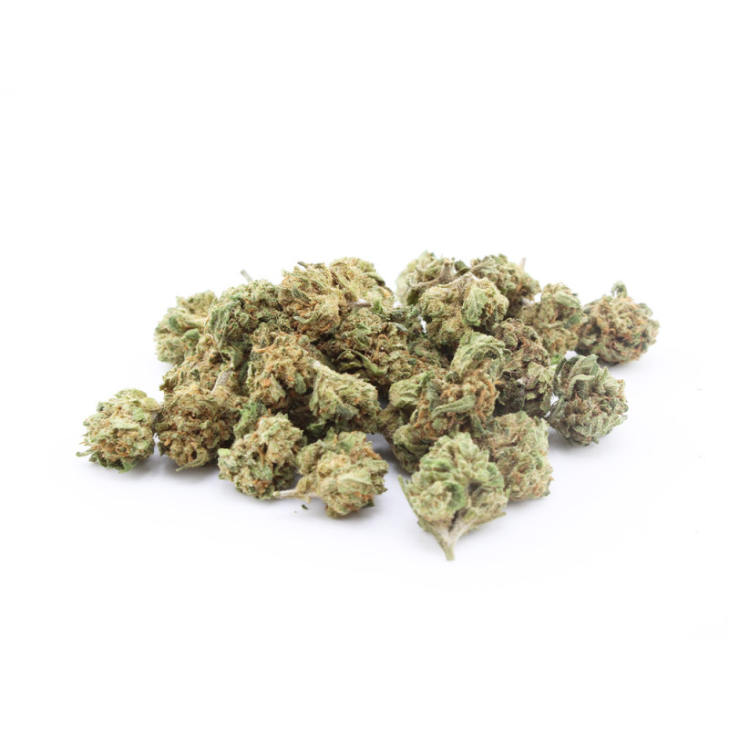 BZ Queen - Small Buds