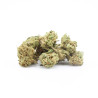 BZ Queen - Small Buds