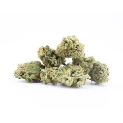Mandarine Kush - Small Buds
