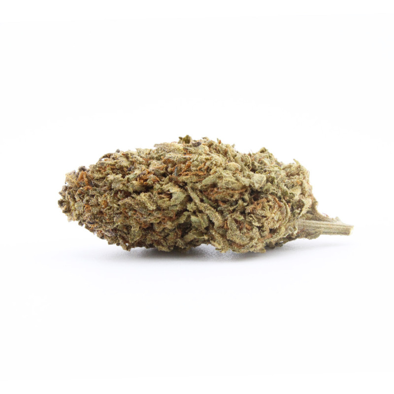 Blue Orchid fleur cbd