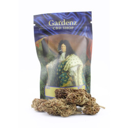 Blue Orchid fleur cbd