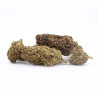Blue Orchid fleur cbd
