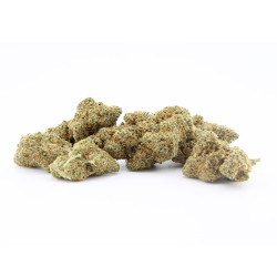 Zunzet Zkittlez fleur cbd
