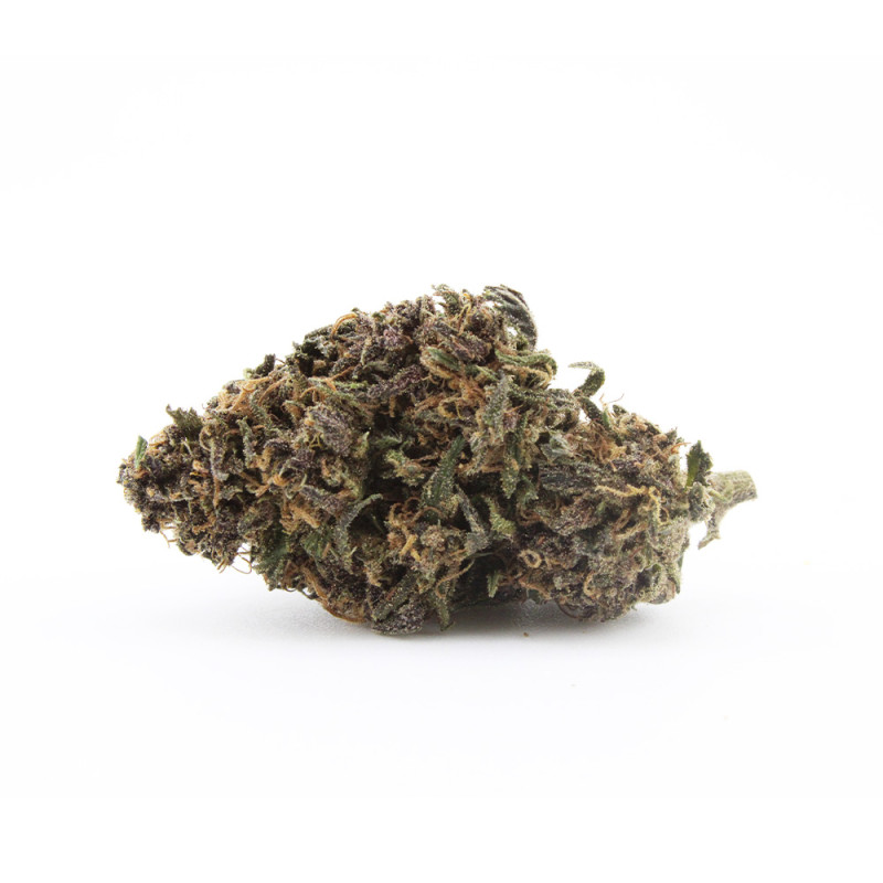 Sapphire Kush