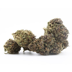 Sapphire Kush