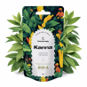 Kanna Powder Extract 20:1- 100g - Canntropy