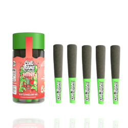 Prerolls CBD Watermelon OG x5 - Califarms