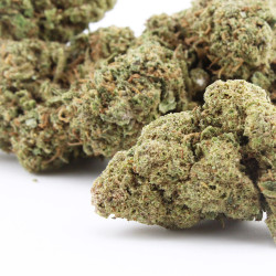 Liberty Haze - CBD