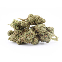 Liberty Haze - CBD