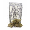 Skywalker