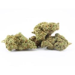 Skywalker