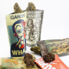 Pack Découverte Fleurs CBD