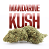 Pack Découverte Fleurs CBD 5x1g – 5 variétés sélectionnées | Gardenz