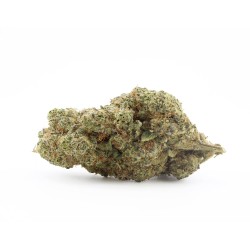 White Russian