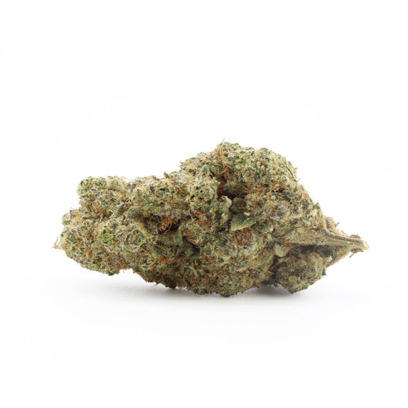 White Russian