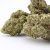 White Russian