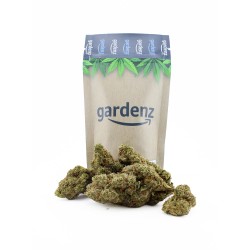 White Russian