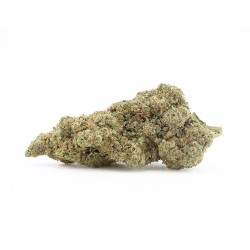 White Russian - CBD