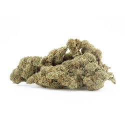White Russian - CBD