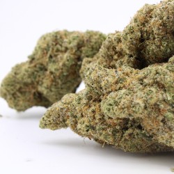 White Russian - CBD
