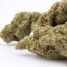 White Russian - CBD