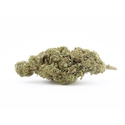 Fleur Blue Dream CBD indoor Italie citron bonbon | Gardenz
