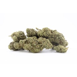 Fleur Blue Dream CBD indoor Italie citron bonbon | Gardenz
