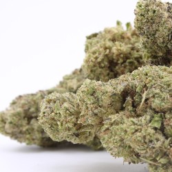 Fleur Blue Dream CBD indoor Italie citron bonbon | Gardenz