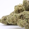 Fleur Blue Dream CBD indoor Italie citron bonbon | Gardenz