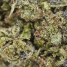 Fleur Blue Dream CBD indoor Italie citron bonbon | Gardenz