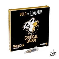 Graine CBD Critical Daddy X3 - Gardenz CBD Shop