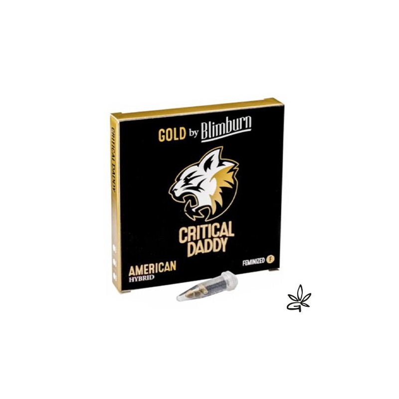 Graine CBD Critical Daddy X3 - Gardenz CBD Shop