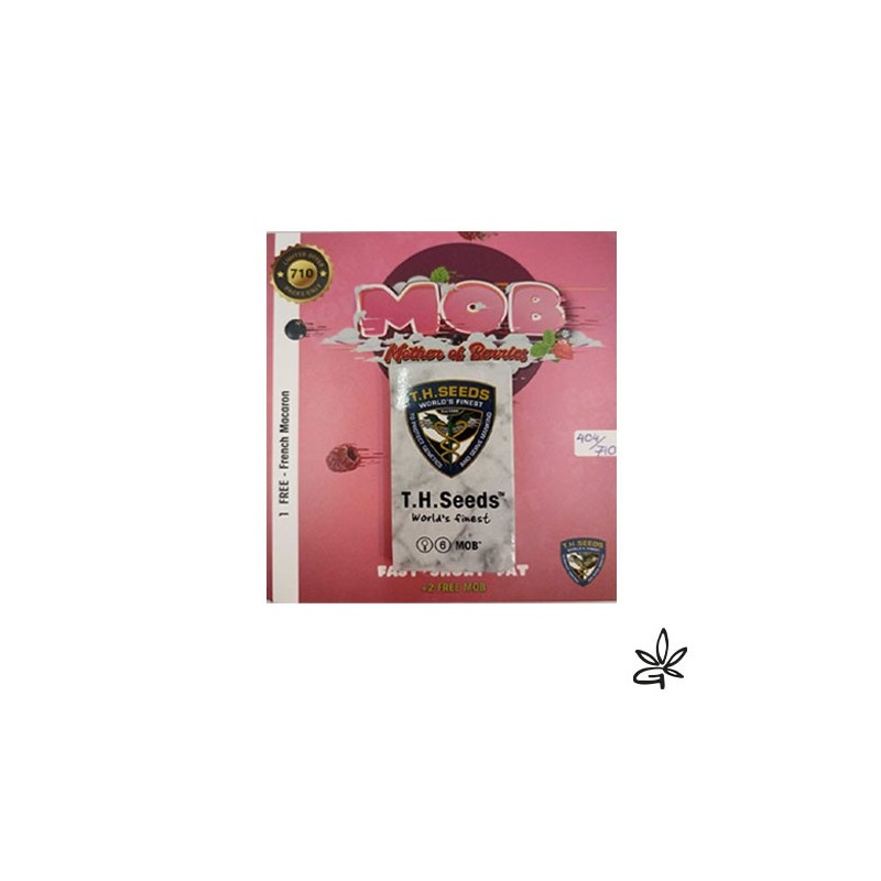 Graine CBD MOB fem X7 +1 - Gardenz CBD Shop